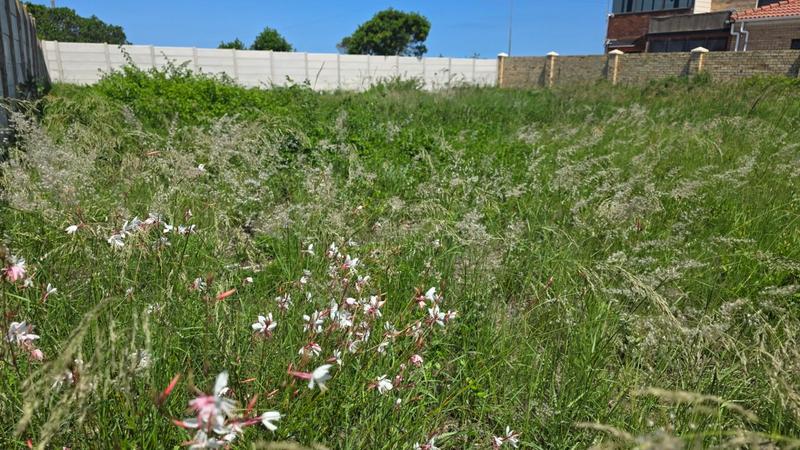 0 Bedroom Property for Sale in Reebok Western Cape